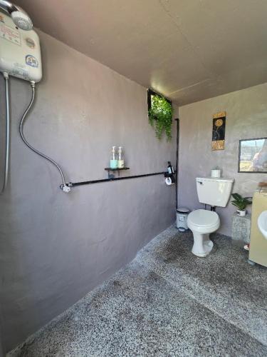a bathroom with a white toilet and a sink at 蘭嶼 262 民宿 in Lanyu
