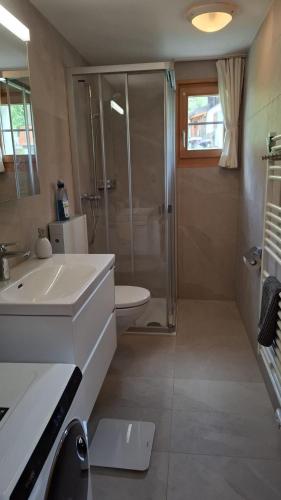 a bathroom with a shower and a sink and a toilet at Chalet Sonnenblick in Fiesch