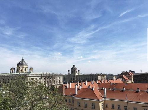 a view of a large building with domes and roofs at Hotel Pension Museum in Vienna