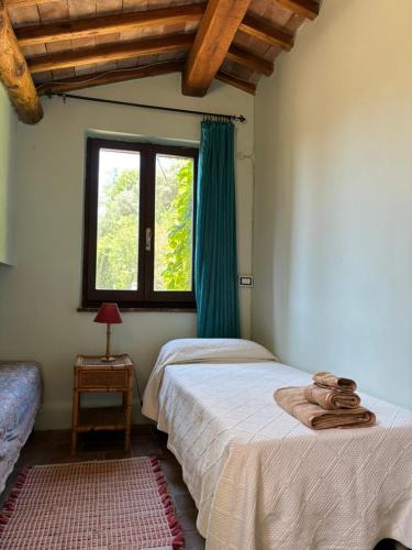 a bedroom with a bed and a window at Fiorire Casale Olistico in Attigliano