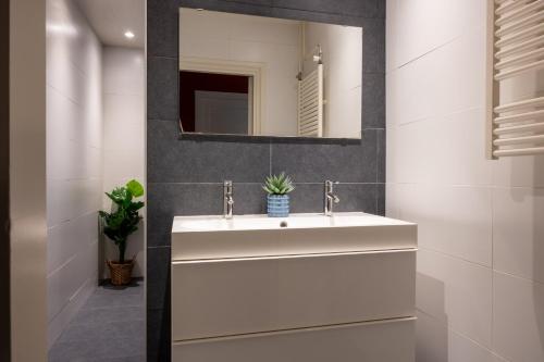 a bathroom with a white sink and a mirror at De Bosberg Villa in Appelscha
