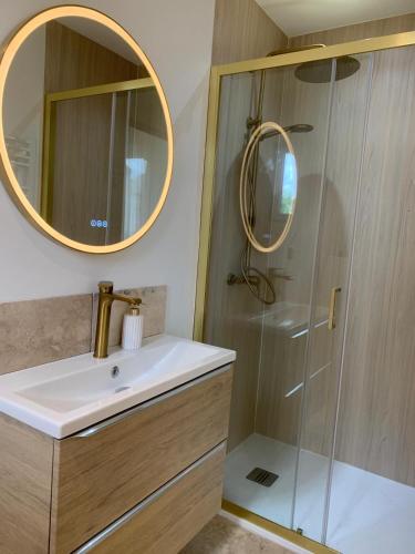 a bathroom with a sink and a shower with a mirror at La CléryNette in Les Andelys