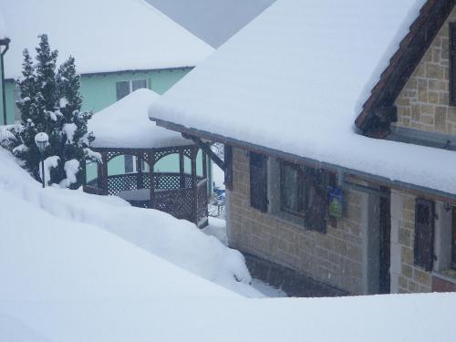 a house covered in snow with a gazebo at Ferme du Mouton Noir in Lautenbachzell