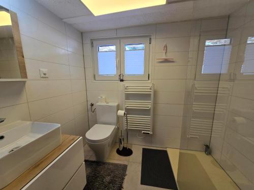 a bathroom with a toilet and a sink and a shower at Maiensäss Crapera in Lenzerheide