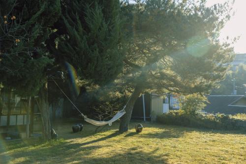 a hammock hanging from a tree in a yard at 旧雨今雨 in Onomichi