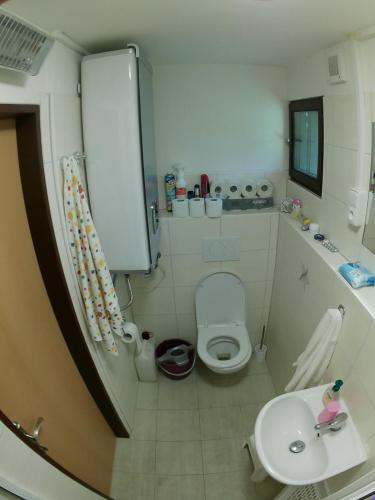 a small bathroom with a toilet and a sink at Chaty u Martiny in Nalžovice