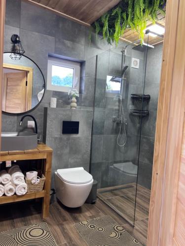 a bathroom with a shower and a toilet and a sink at Secret place in Svalyava