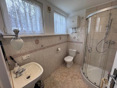 a bathroom with a shower and a sink and a toilet at Domek Premium in Tleń