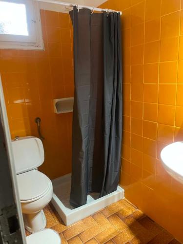 a bathroom with a toilet and a shower curtain at Galini Pension in Ios Chora