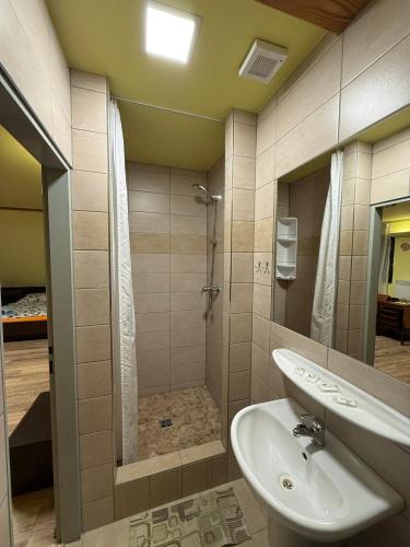 a bathroom with a shower and a sink at Penzion Kaminek in Nové Hrady