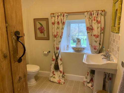 a bathroom with a sink and a toilet and a window at Foxhill House in Ledbury