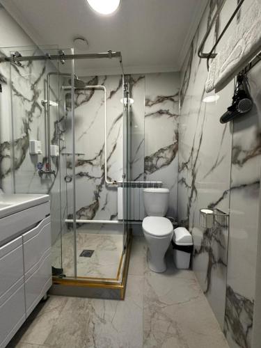 a bathroom with a glass shower and a toilet at Asmanguesthouse in Naryn