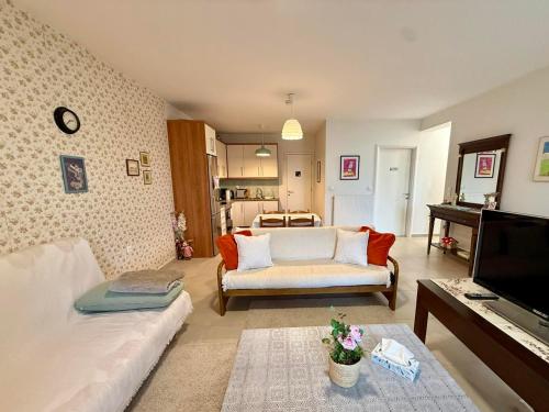 a living room with a couch and a tv at Elato apartment in Florina
