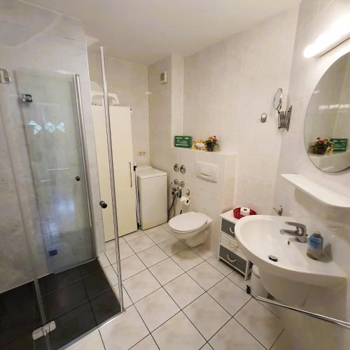 a bathroom with a shower and a toilet and a sink at Neue Liebe - Wohnung 1 in Groß Kirr