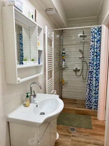 a bathroom with a sink and a shower at Elato apartment in Florina