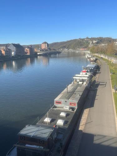 a group of boats parked at a dock on a river at Peniche a Namur - Perle rare - 8 pers in Namur