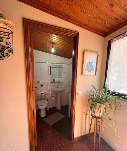 a bathroom with a toilet and a sink at Casas do Natureza de Coura in Paredes de Coura
