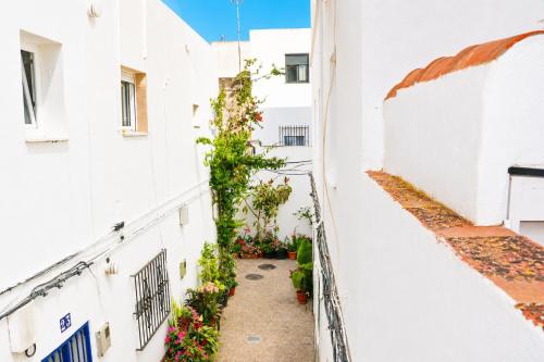 El capricho del Olivo
