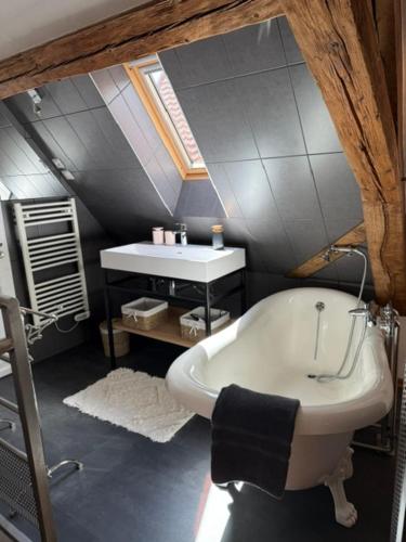 a bathroom with a sink and a bath tub at La Cour de Lise in Willgottheim