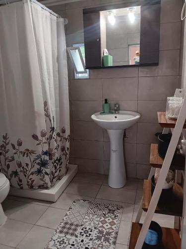 ein Badezimmer mit Waschbecken, Dusche und Toilette in der Unterkunft Pansofia in Gera