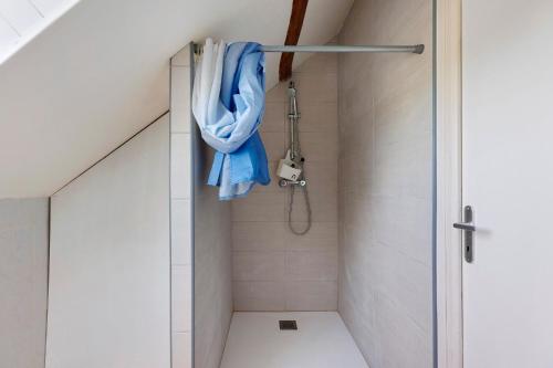 a bathroom with a shower with a blue towel at Maison de la Gentinière Zoo Beauval in Mareuil-sur-Cher