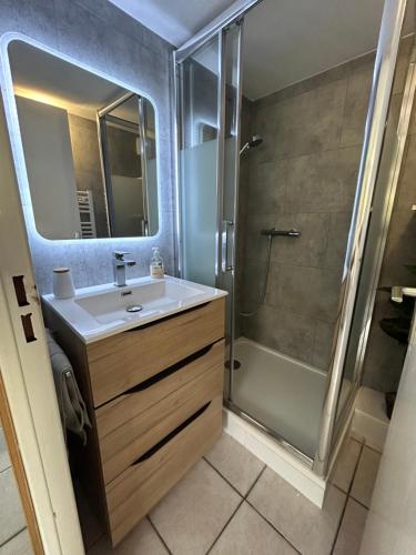 a bathroom with a sink and a shower at Maison petit havre de paix in Palavas-les-Flots
