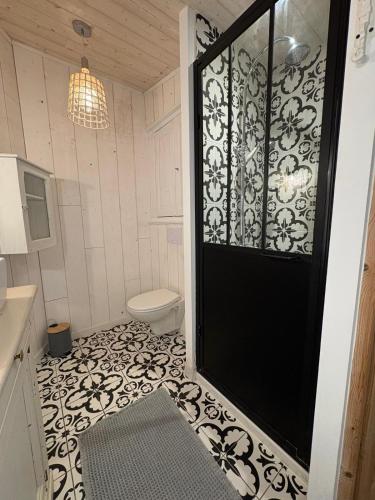 a bathroom with a black door and a toilet at Le Logis du Coteau in Bellefoye