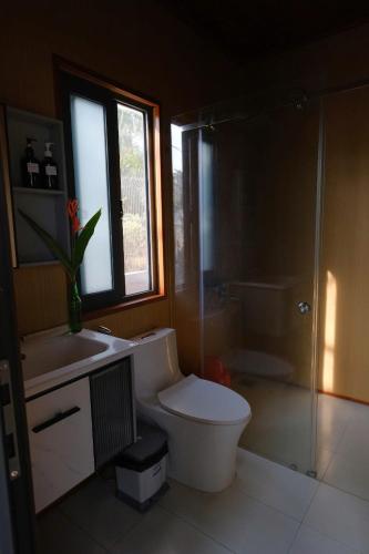a bathroom with a toilet and a sink and a shower at Cafe cắm trại Đồng Gió Phước Hải in Xã Long Mỹ