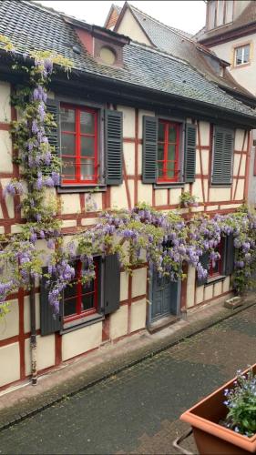 Colmar historic center Charming duplex with garage