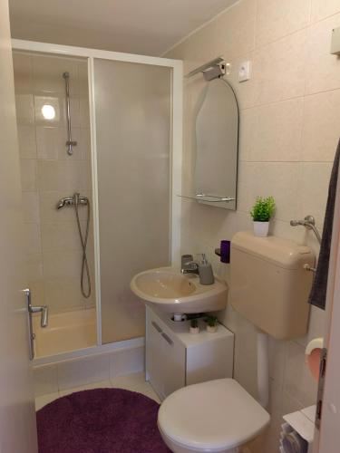 a bathroom with a toilet and a shower and a sink at Apartman Aurora in Ičići