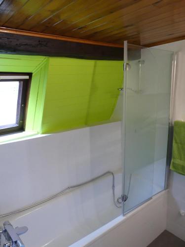 une salle de bain avec une douche en verre avec une fenêtre dans l'établissement Appart chaleureux, à Colmar