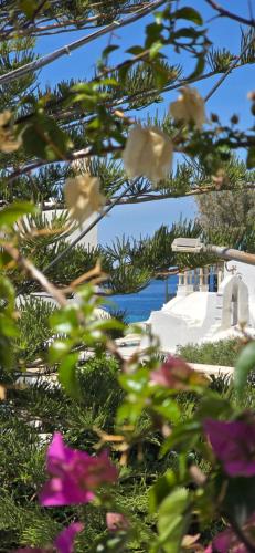 Majestic house in the heart of Mykonos