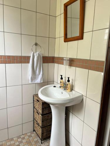 a bathroom with a white sink and a mirror at Badumetsie cottage in Durban