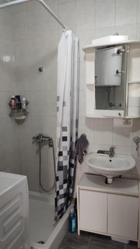 a small bathroom with a sink and a shower at Pozarevac-Centar-Stan in Požarevac