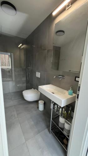 a bathroom with a sink and a toilet and a mirror at vila Kořenec in Kořenec