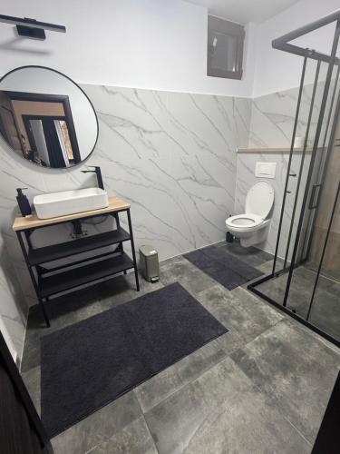 a bathroom with a sink and a toilet and a mirror at Castle View Apartments in Făgăraş