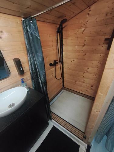 a bathroom with a shower and a sink at Fenyőházak in Buzsák