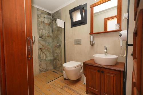 a bathroom with a shower and a toilet and a sink at Lotus Konaklama Küçükköy in Ayvalık