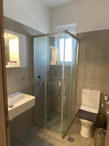 a bathroom with a shower and a toilet and a sink at Anastasia Karystos in Karistos