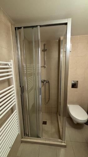 a bathroom with a shower with a toilet and a sink at Budapest Airport Smart panzio in Vecsés