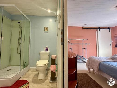 a bathroom with a shower and a toilet and a bed at Gîte Geoffroy in Montigny-sur-Aube