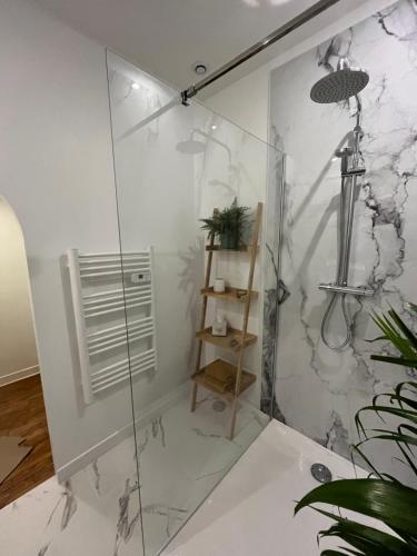 a glass shower in a bathroom with a plant at Chez Lapage in Saint-Avit-Sénieur