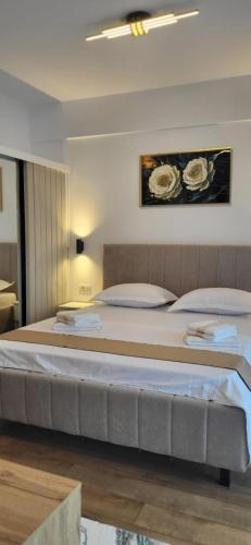 a bedroom with a large bed in a room at Garsoniera Daria in Saturn