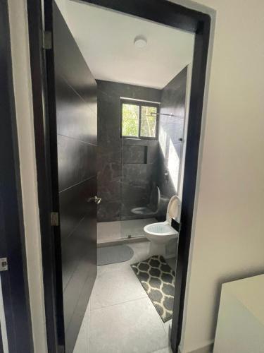 a bathroom with a shower and a toilet in it at Casa Maya in Puerto Morelos