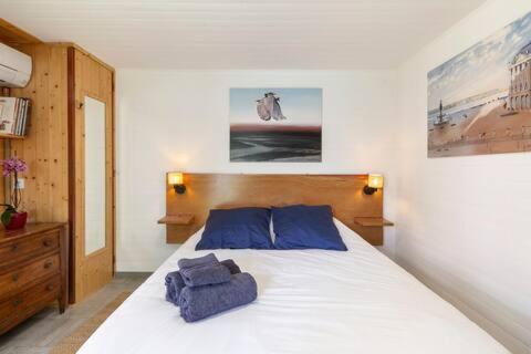 Tiny House de Charme & Oasis Privée