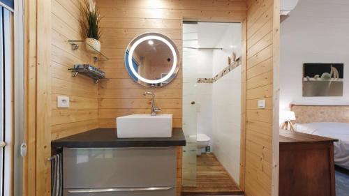 a bathroom with a sink and a mirror at Tiny House de Charme & Oasis Privée in Toulouse