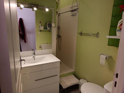 a bathroom with a sink and a shower and a toilet at Appartement Sauges 16 in Cazaubon