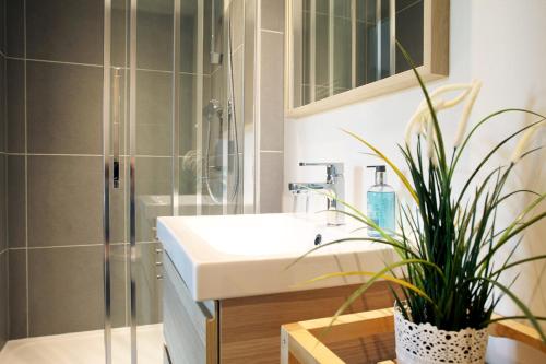 uma casa de banho com um lavatório, um chuveiro e uma planta em Chambres Aux Sabots Rouges em Guéméné-sur-Scorff