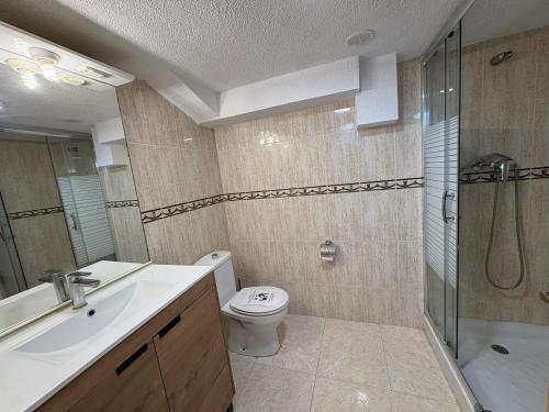 a bathroom with a toilet and a sink and a shower at Alpen1 Finca Simo in Peniscola