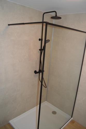 a shower with a glass door in a bathroom at Vakantie Hermansheuvel in Bekkevoort